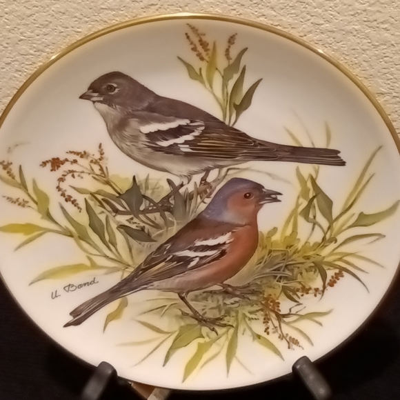 Collection Plate - Picture 5 of 10
